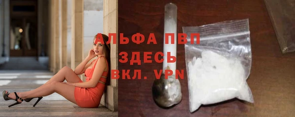 ГАЛЛЮЦИНОГЕННЫЕ ГРИБЫ Яровое