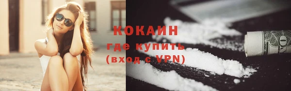 ГАЛЛЮЦИНОГЕННЫЕ ГРИБЫ Яровое