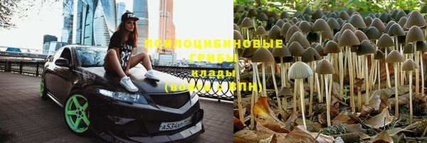 MESCALINE Козловка